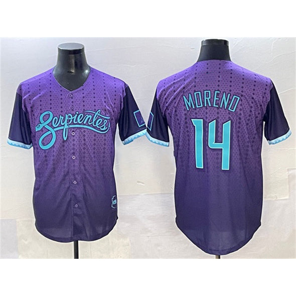 Arizona Diamondbacks #14 Gabriel Moreno Purple AmberGomez 2025 City Connect Limited Stitched Jersey