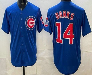 Chicago Cubs #14 Ernie Banks Blue AmberGomez Limited Jersey