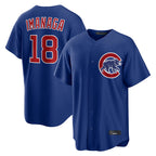 Chicago Cubs #18 Shota Imanaga Player Royal AmberGomez Home Game Stitched Jerseys