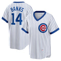 Chicago Cubs #14 Ernie Banks White AmberGomez Home Cooperstown Collection Player Jersey