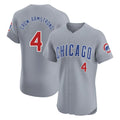 Chicago Cubs #4 Pete Crow-Armstrong Player Gray AmberGomez Road Limited Elite Home Stitched Jerseys