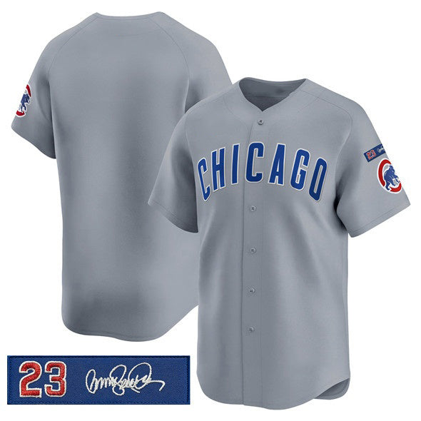 Chicago Cubs Blank Gray AmberGomez 'Ryne Sandberg Tribute' Vapor Limited V3 Stitched Jersey