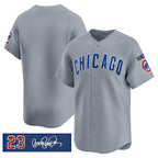 Chicago Cubs Blank Gray AmberGomez 'Ryne Sandberg Tribute' Vapor Limited V3 Stitched Jersey