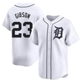 Detroit Tigers #23 Kirk Gibson Player White AmberGomez Home Limited Stitched Jerseys