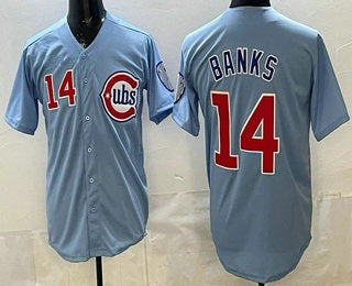 Chicago Cubs #14 Ernie Banks Baby Blue AmberGomez Limited Jersey