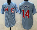 Chicago Cubs #14 Ernie Banks Baby Blue AmberGomez Limited Jersey